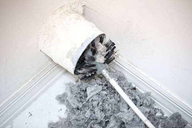 Best Air Duct Cleaning Near Me in Kurtistown, HI